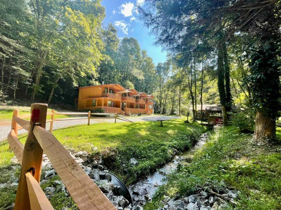 Cute Cabin Creek & Firepit #12 海伦 外观 照片