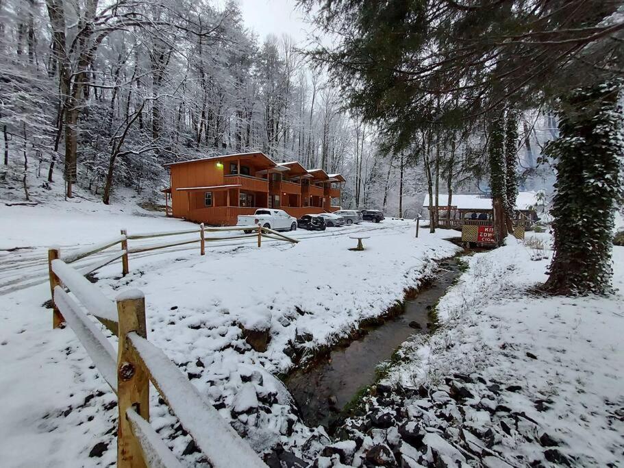 Cute Cabin Creek & Firepit #12 海伦 外观 照片